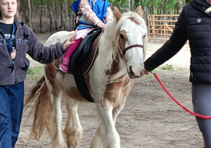 Wycieczka do mini zoo "Agrobanda"