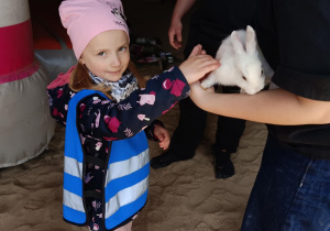 Wycieczka do mini zoo "Agrobanda"