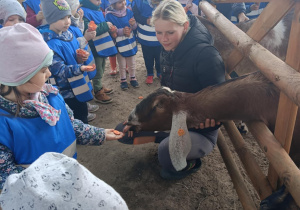 Wycieczka do mini zoo "Agrobanda"