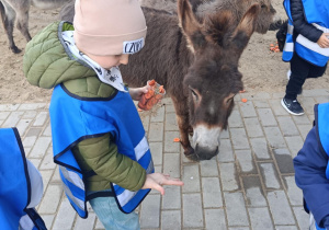 Wycieczka do mini zoo "Agrobanda"
