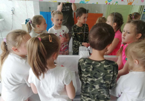 Zdjęcie 26 na 35