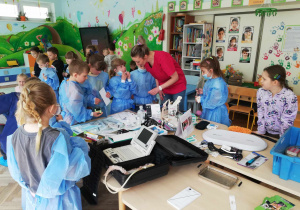 Zdjęcie 5 na 29