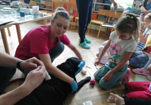 Zdjęcie 12 na 29