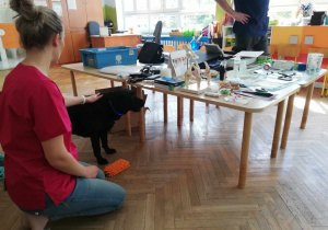 Zdjęcie 29 na 29