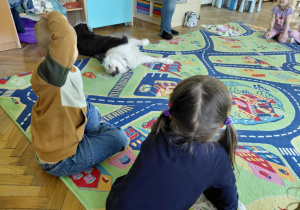Dogoterapia