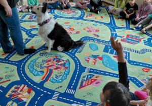 Dogoterapia