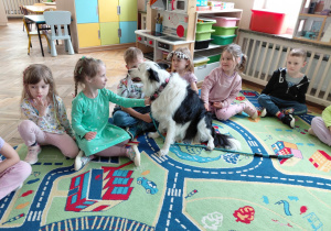 Dogoterapia