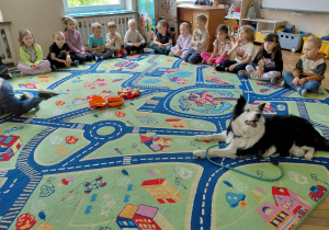 Dogoterapia