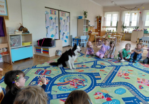 Dogoterapia