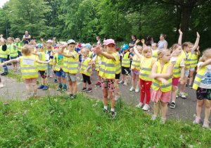 Zdjęcie 17 na 18