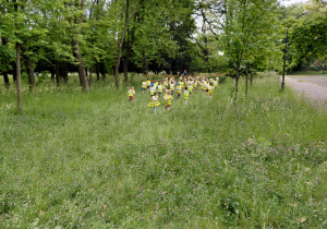 Maraton Przedszkolaków