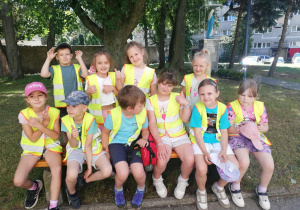 Zdjęcie 13 na 14