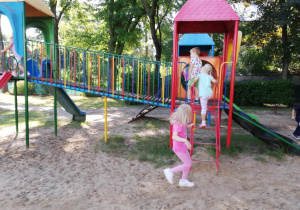 Zdjęcie 11 na 13