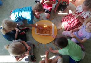 Zdjęcie 9 na 19