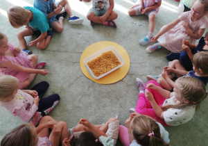Zdjęcie 17 na 19