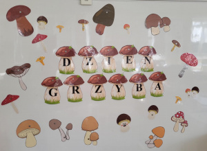 Dzień Grzyba