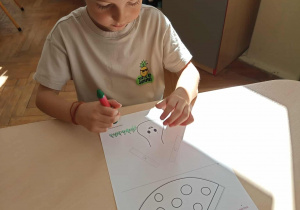 Dzień Grzyba