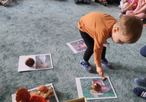 Chłopiec dopasowuje grzyba do fotografii.