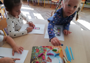 Zdjęcie 16 na 35
