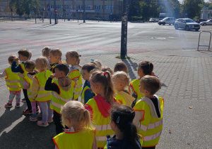 Zdjęcie 5 na 14