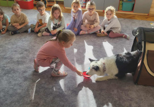 Merdanie na powitanie
