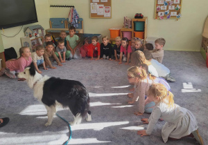 Merdanie na powitanie