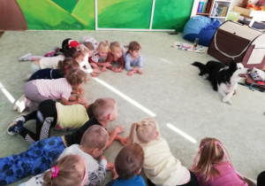 Zdjęcie 3 na 47