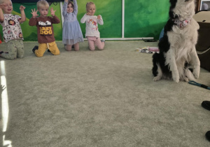 Zdjęcie 4 na 47