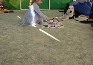 Zdjęcie 5 na 47