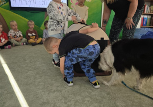 Zdjęcie 7 na 47