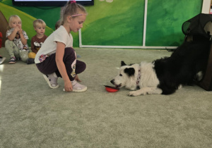 Zdjęcie 12 na 47