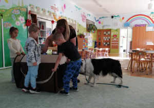 Zdjęcie 17 na 47