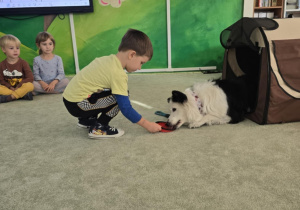 Zdjęcie 24 na 47