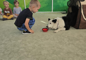 Zdjęcie 29 na 47