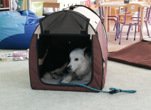 Merdanie na powitanie