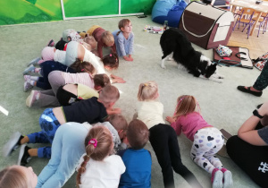 Zdjęcie 34 na 47