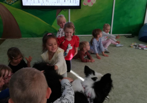 Zdjęcie 44 na 47
