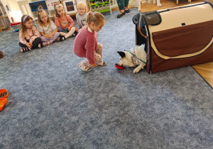 Zdjęcie 2 na 10