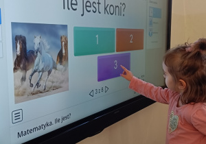 Zdjęcie 3 na 8