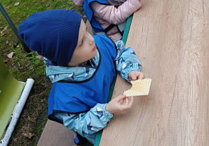 Zdjęcie 4 na 13