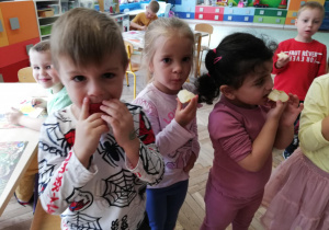 Zdjęcie 11 na 30