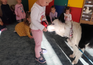 Dziewczynka częstuje psa karmą.