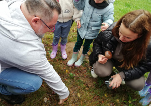 Zdjęcie 16 na 66