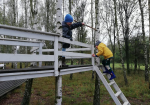 Zdjęcie 20 na 66
