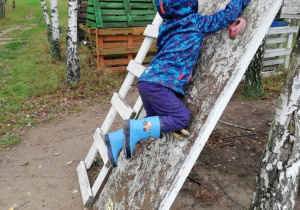 Zdjęcie 22 na 66