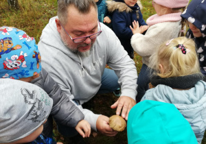 Zdjęcie 42 na 66