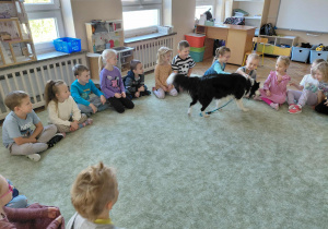 Dogoterapia