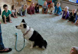 Dogoterapia