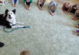 Dogoterapia