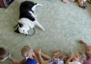 Dogoterapia